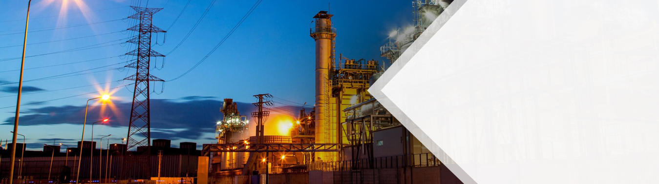 NEEPCO generates about 40% of energy requirement of North East India